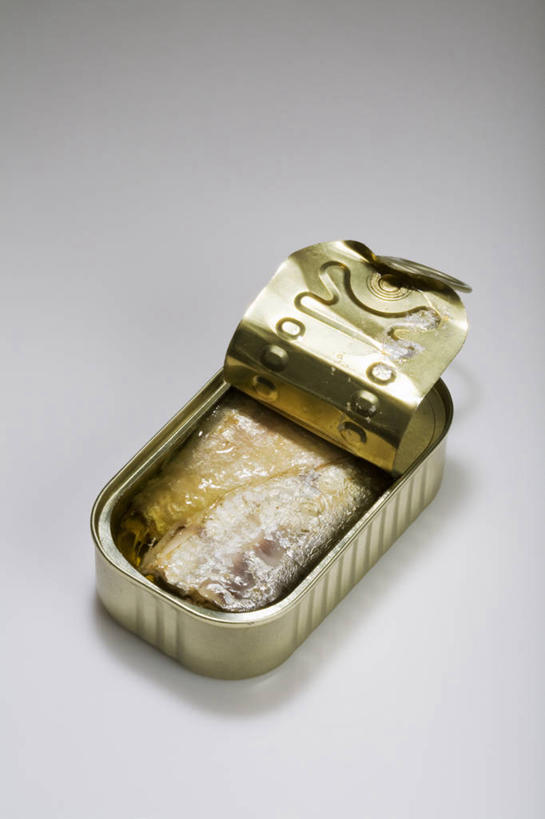 无人,竖图,俯视,室内,特写,白天,餐桌,桌子,阴影,灰色背景,反射,罐头,罐子,影子,肉,鱼肉,肉类,一个,摄影,影棚,单个,餐台,罐头食品,肉食,彩图,高角度拍摄,影棚拍摄,拍摄