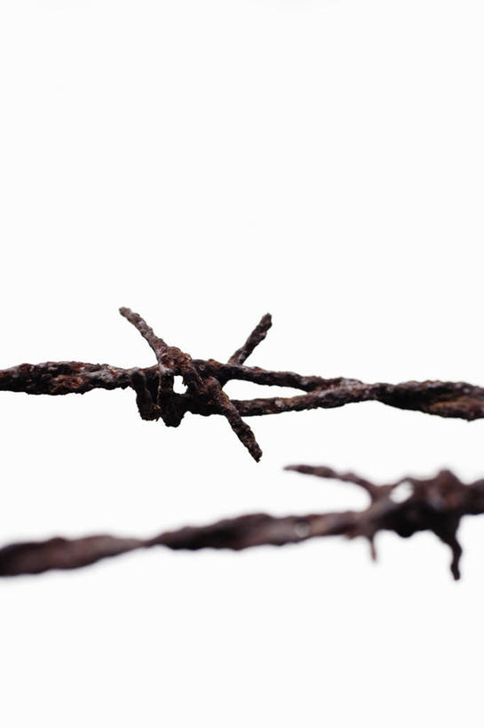 无人,竖图,室内,特写,白天,白色背景,正面,静物,金属制品,金属,铁丝网,摄影,影棚,锋利,尖锐,尖利,犀利,铁蒺藜,彩图,影棚拍摄,拍摄