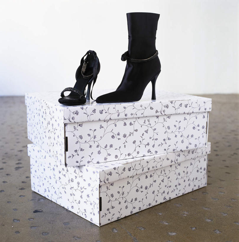 无人,竖图,黑白,室内,特写,白天,正面,高跟鞋,鞋,时尚,地板,静物,鞋子,一双,纸盒,墙,皮革,地面,漂亮,木地板,墙壁,墙面,盒子,两个,白色,黑色,包装盒,两只,时髦,鞋盒,时兴,皮鞋