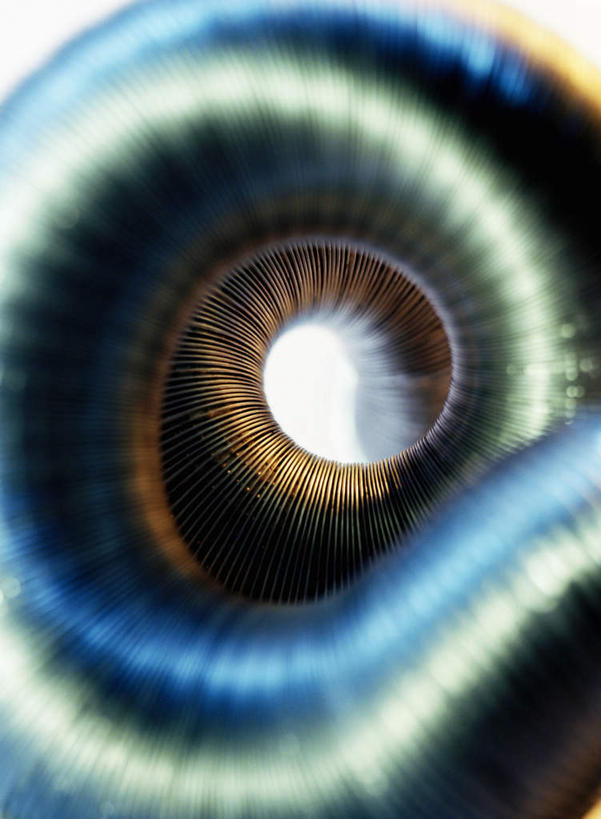 无人,竖图,俯视,室内,特写,白天,抽象,数码,科技,阴影,光线,网络,螺旋,影子,高光,几何,计算机图形,合成,旋转,阳光,夸张,电脑合成图,数码合成图,圆孔,螺纹,扭转,螺线,深奥,彩图,高角度拍摄