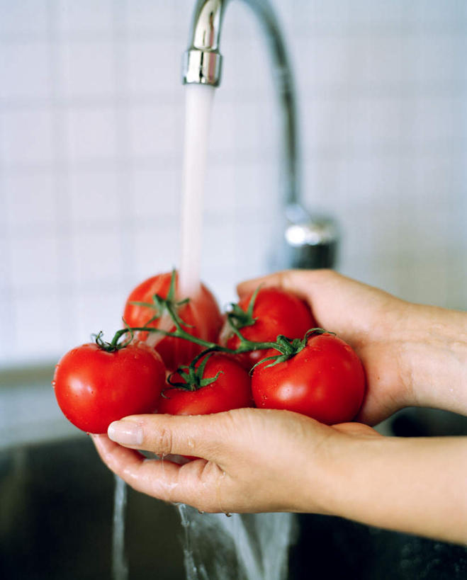 西方人,一个人,举,捧,竖图,室外,特写,白天,正面,冲洗,水,蔬菜,西红柿,欧洲,欧洲人,仅一个年轻女性,仅一个女性,仅一个人,新鲜,水龙头,液体,墙,水滴,食品,拿,拿着,墙壁,墙面,食物,托,有机食品,绿色食品,冲刷,年轻女性,女人,女性,白种人,樱桃番茄,圣女果,番茄,端,端着,举起,举手,举着,捧着,手捧,向上举,向上伸,向上托,半身,彩图