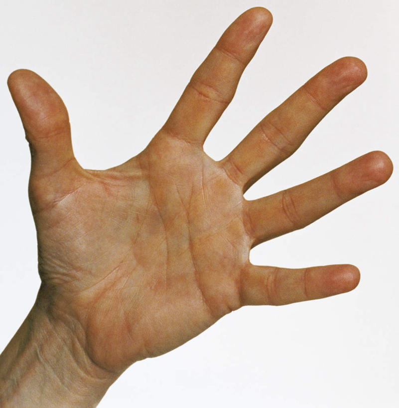 东方人,手,手掌,一个人,竖图,室内,特写,白天,白色背景,正面,亚洲,仅一个人,黄种人,一个,手势,手部,摄影,影棚,单个,单手,亚洲人,半身,彩图,影棚拍摄,拍摄,五指张开