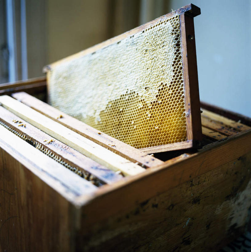 点心,蜂蜜,无人,竖图,俯视,室内,特写,白天,静物,墙,食品,甜点,甜品,墙壁,墙面,食物,糕点,甜食,蜂箱,彩图,高角度拍摄