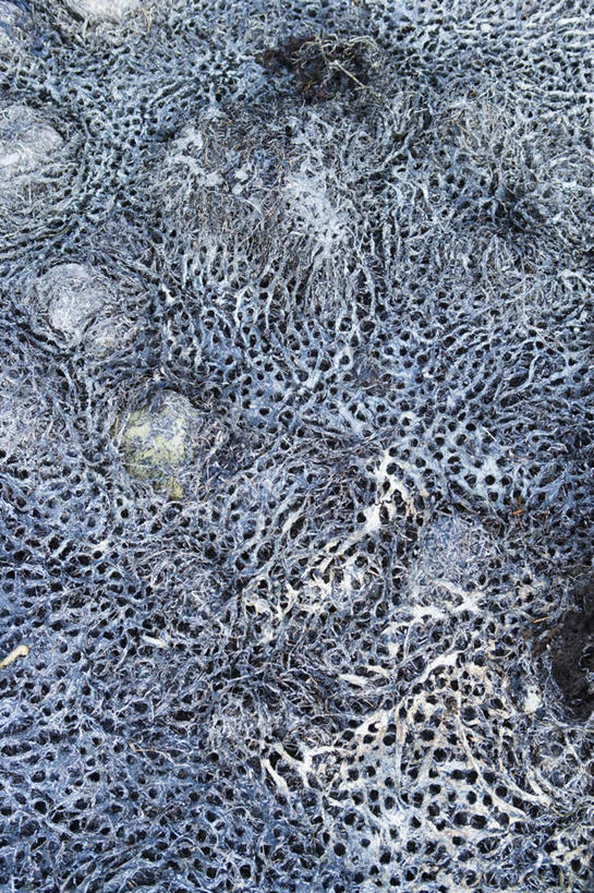 无人,竖图,俯视,室外,白天,美景,一堆,许多,阴影,堆叠,堆积,条纹,光线,线条,影子,景观,灰色,阳光,自然,海藻,景色,堆,海草,自然风光,彩图,高角度拍摄