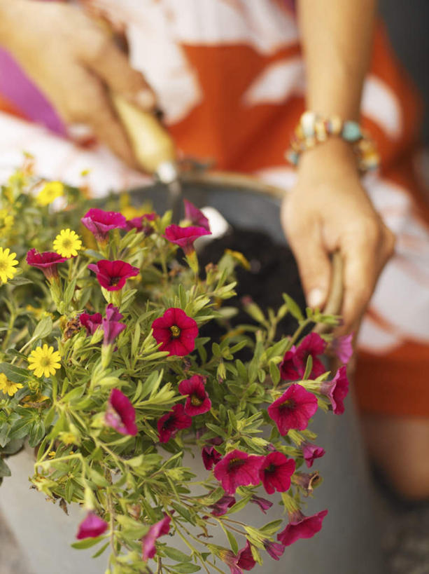 西方人,手,一个人,坐,摸,竖图,俯视,室外,特写,白天,植物,欧洲,欧洲人,仅一个年轻女性,仅一个女性,仅一个人,一把,许多,抚摸,握,服装,朦胧,模糊,盛开,铲子,工具,盆栽,盆景,拿,花蕾,铲,拿着,休闲装,花,花瓣,花朵,鲜花,衣服,红色,绿色,紫色,自然,花苞,花蕊,休闲,手部,休闲服,握着,服饰,生长,成长,年轻女性,女人,女性,白种人,触摸,接触,坐着,半身,彩图,高角度拍摄