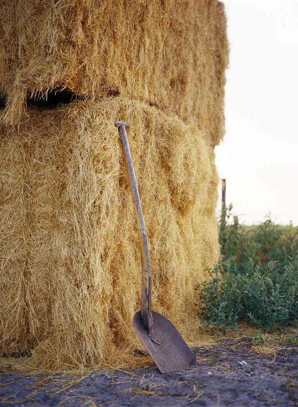 无人,竖图,室外,白天,正面,草地,植物,金属制品,一堆,许多,堆叠,堆积,金属,干草,草,一个,蓝色,绿色,蓝天,天空,草垛,天,铁锹,晴朗,单个,堆,万里无云,晴空,晴空万里,彩图