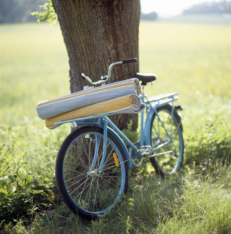 无人,竖图,室外,白天,正面,草地,草坪,植物,自行车,金属制品,三捆,一根,阴影,光线,金属,布,影子,车,脚踏车,草,树干,黄色,蓝色,绿色,蓝天,天空,阳光,交通工具,天,晴朗,载具,万里无云,晴空,晴空万里,彩图