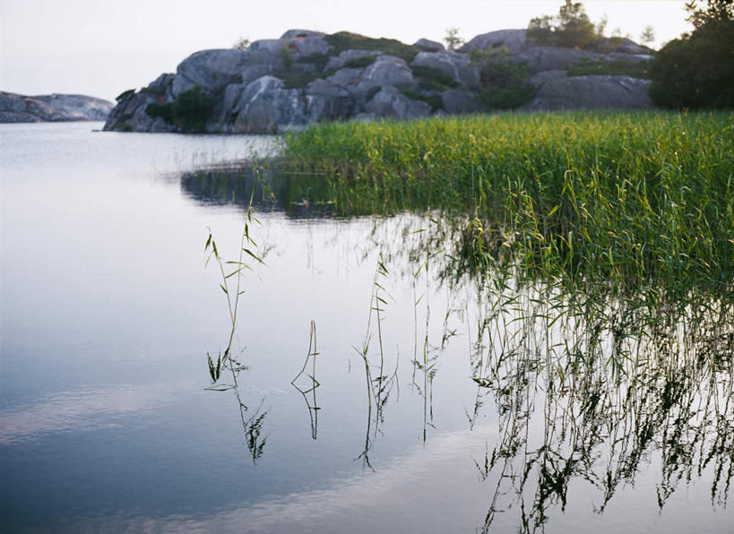 无人,横图,室外,白天,正面,草地,湖,湖泊,石头,水,植物,阴影,光线,石子,影子,湖面,水流,水面,水草,草,树,树木,绿色,阳光,自然,湖水,生长,成长,石块,岩石,彩图