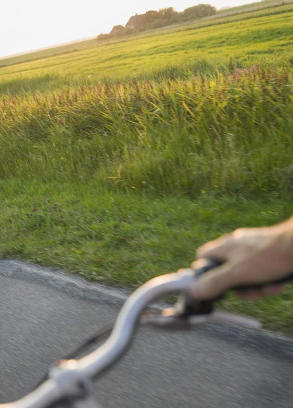 西方人,一个人,竖图,俯视,室外,白天,草地,草坪,植物,道路,路,自行车,欧洲,欧洲人,仅一个男性,仅一个人,握,朦胧,模糊,小路,交通,拿,拿着,踩,车,脚踏车,草,仅一个年轻男性,骑,蓝色,绿色,蓝天,天空,交通工具,天,踩着,握着,乡间小路,晴朗,载具,万里无云,男人,男性,年轻男性,白种人,晴空,晴空万里,半身,彩图,高角度拍摄