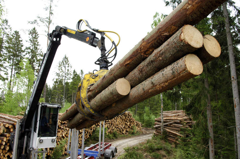 无人,横图,室外,白天,仰视,技术,树林,植物,道路,建筑,路,一堆,许多,堆叠,堆积,木材,木头,小路,交通,设备,树,树木,施工,一个,蓝色,绿色,蓝天,天空,自然,天,机械,起重机,木桩,木料,乡间小路,生长,晴朗,单个,成长,堆,抓斗,工程,原木,万里无云,晴空,晴空万里,彩图,低角度拍摄