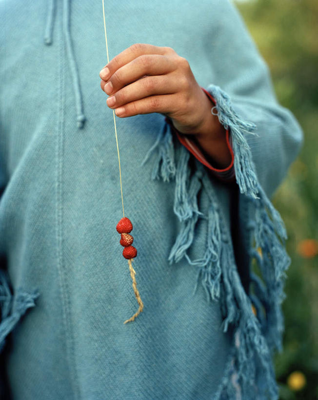 西方人,手,一个人,站,举,竖图,室外,特写,白天,正面,植物,草莓,浆果,欧洲,欧洲人,仅一个年轻女性,仅一个女性,仅一个人,握,服装,拿,拿着,休闲装,树,树木,三个,衣服,蓝色,绿色,自然,托,站着,休闲,手部,休闲服,握着,服饰,生长,成长,野草莓,年轻女性,女人,女性,白种人,洋莓,水果皇后,红莓,地莓,举起,举手,举着,向上举,向上伸,向上托,站立,半身,彩图