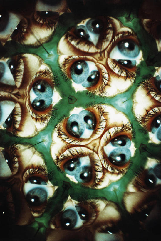 眼睛,眉毛,睫毛,无人,竖图,室内,特写,白天,正面,游戏,玩具,万花筒,瞳孔,玩,娱乐,休闲,益智,眼部,活动,发泄,消遣,智力,宣泄,睫,眉,眼,眼睫毛,眼眉,玩耍,嬉戏,彩图,光学玩具,眼眉毛