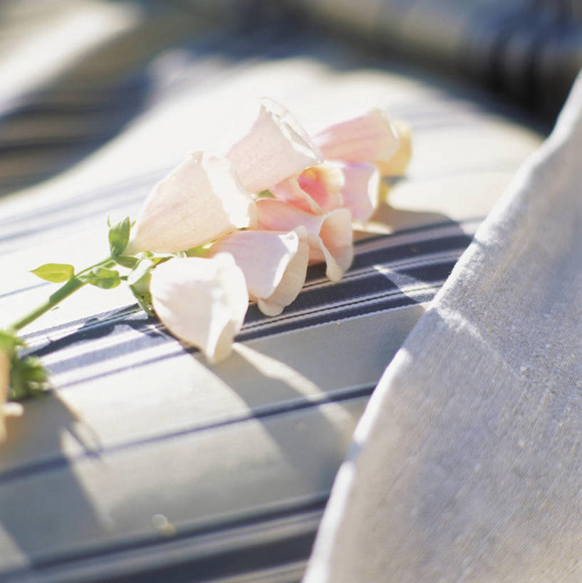 无人,竖图,俯视,室外,特写,白天,阴影,朦胧,模糊,盛开,光线,影子,花蕾,花,花瓣,花朵,鲜花,粉色,阳光,花苞,花蕊,毛地黄,指顶花,心脏草,洋地黄,热爱,彩图,高角度拍摄