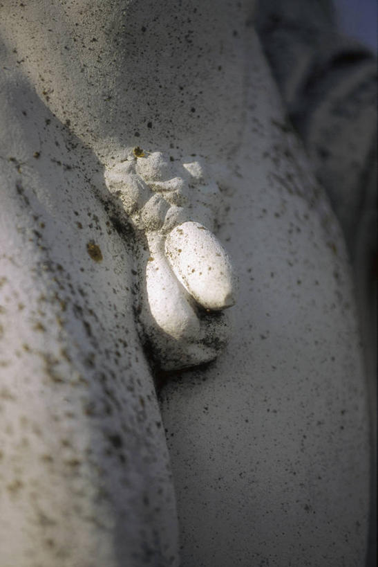 西方人,阴茎,一个人,无人,竖图,室内,特写,白天,正面,雕塑,欧洲,欧洲人,仅一个男性,仅一个人,阴影,艺术,装饰,反射,雕刻,雕像,影子,石雕,裸露,仅一个年轻男性,工艺品,纪念,皮肤,美术,主题,裸,陈列,一尊,功能,美学,内生殖器,排泄器官,外生殖器,男人,男性,年轻男性,白种人,半身,彩图,海绵体,筋膜,男性生殖系统,尿道海绵体,生殖器官,阳具,阴茎海绵体