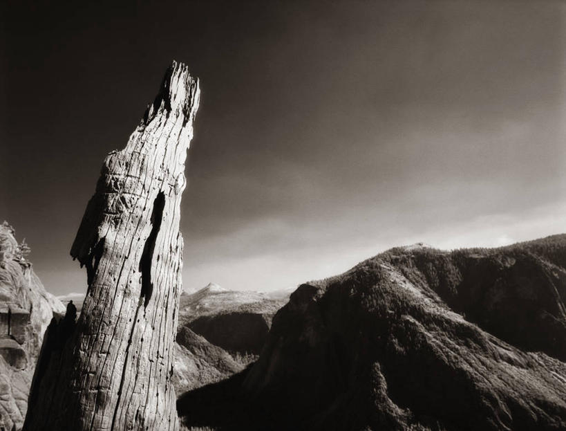 无人,横图,黑白,室外,白天,仰视,旅游,度假,石头,美景,墨西哥,阴影,光线,石子,影子,景观,乌云,云,阴天,云朵,树桩,云彩,娱乐,树,树干,天空,阳光,自然,天,享受,休闲,木桩,景色,放松,北美,北美洲,昏暗,阴沉,自然风光,美洲,北亚美利加洲,亚美利加洲,墨西哥合众国,仙人掌王国,北下加利福尼亚,北下加利福尼亚州,下加利福尼亚州,石块,岩石,低角度拍摄