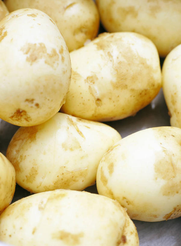 无人,竖图,俯视,室内,特写,白天,蔬菜,土豆,许多,阴影,新鲜,反射,影子,食品,食物,排列,有机食品,绿色食品,馍馍蛋,摆列,洋芋,山药蛋,马铃薯,彩图,高角度拍摄,布列,分列