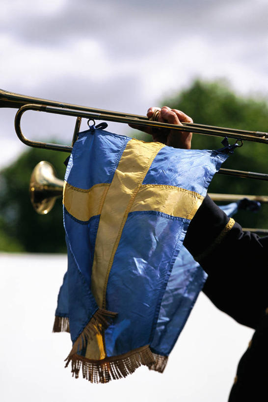 西方人,一个人,站,交叉,竖图,室外,特写,白天,正面,植物,旗帜,国旗,欧洲,欧洲人,仅一个男性,仅一个人,握,条纹,服装,朦胧,模糊,乌云,云,阴天,云朵,乐器,铜管乐器,小号,吹奏,云彩,休闲装,树,树木,仅一个年轻男性,一个,衣服,黄色,蓝色,绿色,天空,自然,天,站着,休闲,休闲服,握着,服饰,生长,单个,成长,昏暗,阴沉,铜管,相交,交集,男人,男性,年轻男性,白种人,旗,站立,半身,彩图,瑞典国旗