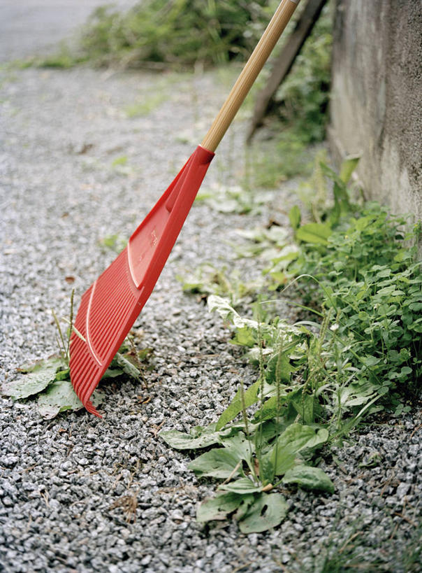 无人,竖图,室外,白天,正面,草地,草坪,植物,一把,阴影,光线,工具,扫帚,影子,墙,墙壁,墙面,草,红色,绿色,阳光,清洁,扫把,卫生,保洁,笤帚,彩图