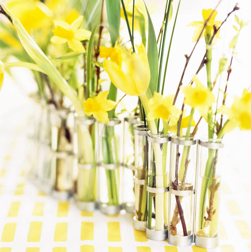 无人,竖图,俯视,室内,特写,白天,爱情,陶醉,餐桌,桌子,水仙花,阴影,盛开,反射,影子,花蕾,花,花瓣,花朵,鲜花,黄色,花苞,花蕊,餐台,记忆,金盏银台,玉玲珑,女史花,雅蒜,天蒜,敬意,自恋,凌波仙子,水仙,天葱,彩图,高角度拍摄