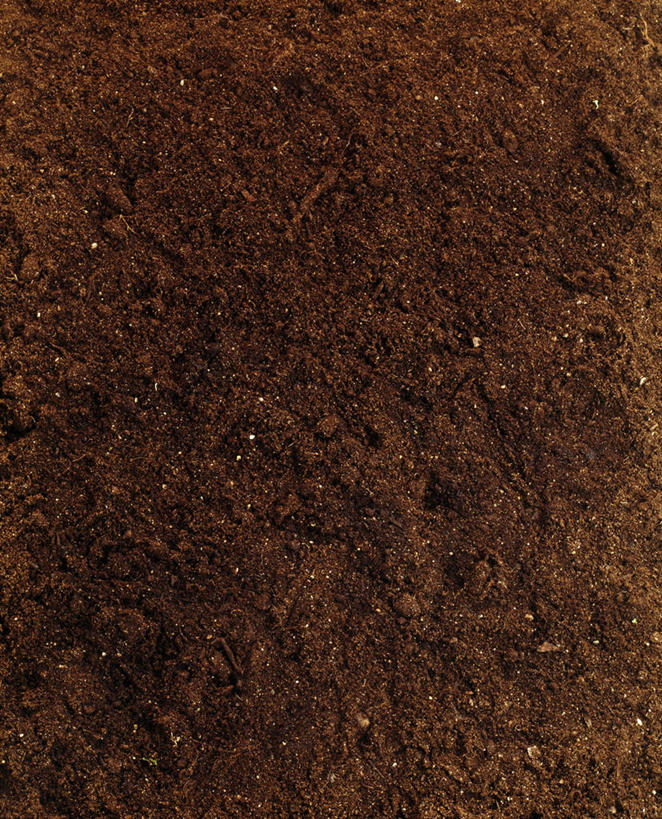 无人,竖图,室内,特写,白天,正面,阴影,丰富,反射,纹路,纹理,影子,泥土,土壤,褐色,成熟,肌理,谦让,随和,彩图