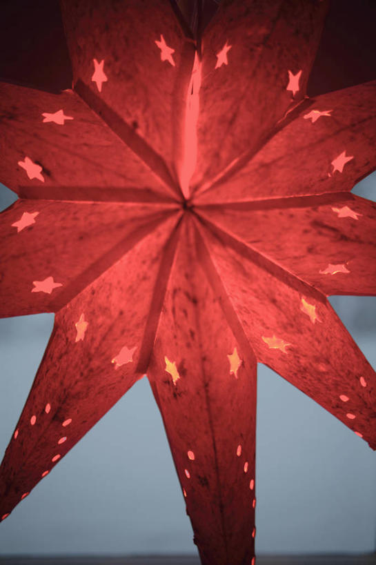 无人,竖图,室内,特写,白天,正面,静物,圣诞节,阴影,节日,庆祝,艺术,盛开,反射,影子,纸艺,手工艺品,花蕾,文化,花,花瓣,花朵,鲜花,红色,纸制品,工艺品,剪纸,花苞,花蕊,庆典,纪念,高雅,自信心,品位,剪画,刻纸,彩图