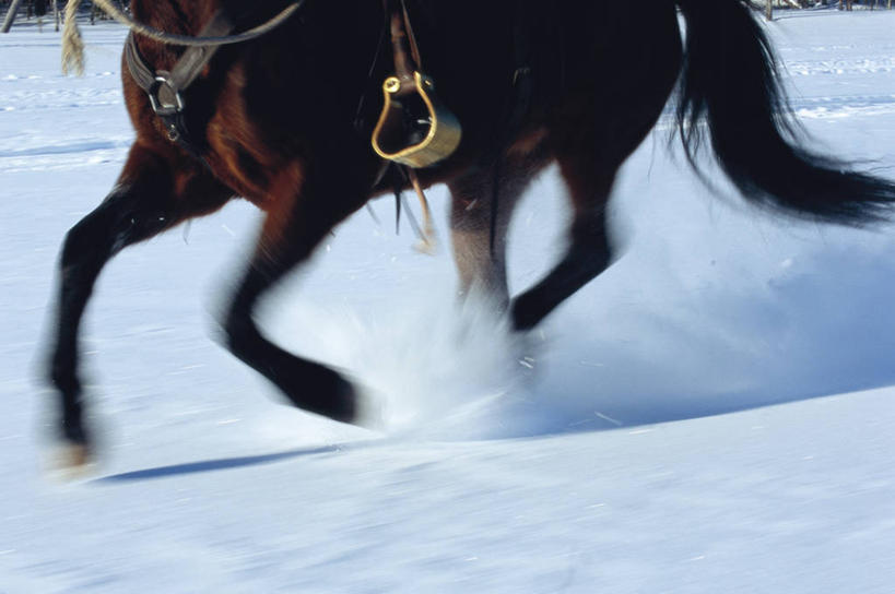 无人,横图,俯视,室外,白天,美景,雪,大雪,马,野生动物,金属制品,奔驰,阴影,飞溅,朦胧,模糊,溅,光线,金属,液体,影子,积雪,景观,水滴,雪景,冬季,冬天,一匹,水珠,阳光,自然,动物,奔跑,景色,寒冷,运输,牲畜,喷洒,自然风光,严寒,马具,马镫,半身,彩图,高角度拍摄