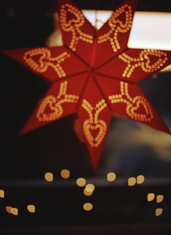 无人,竖图,室内,特写,白天,正面,静物,照明,圣诞节,阴影,节日,朦胧,模糊,庆祝,艺术,反射,彩灯,影子,纸艺,手工艺品,灯光,文化,灯,纸制品,工艺品,剪纸,灯具,庆典,花灯,纪念,照亮,高雅,照明设备,圣诞灯,自信心,品位,剪画,刻纸,彩图