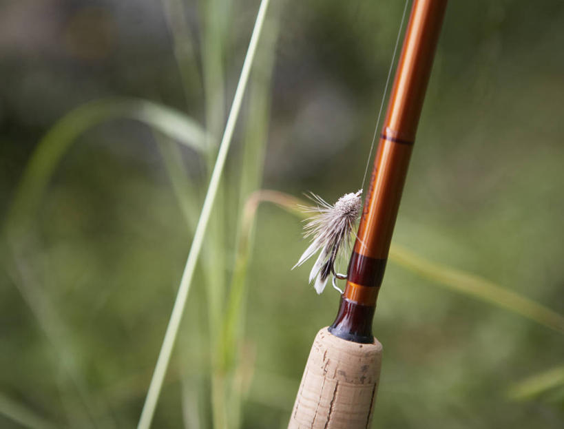 无人,横图,室外,特写,白天,正面,草地,草坪,植物,钓鱼竿,阴影,朦胧,模糊,光线,影子,草,绿色,阳光,渔具,鱼饵,钓竿,鱼竿,彩图,钓鱼
