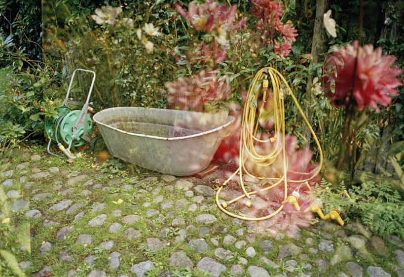 无人,横图,室外,白天,正面,石头,植物,环保,盛开,工具,石子,防护,花蕾,水管,花,花瓣,花朵,鲜花,树,树木,绿色,自然,容器,花苞,花蕊,器械,浴盆,生长,成长,储藏,割草机,切割,储存,美好,美妙,间隔,澡盆,锄草,曝光,除草机,农具,美观,雅观,耕具,暴光,绿篱,生篱,树篱,植篱,修整,石块,岩石,彩图,草坪修剪机,剪草机,贮存