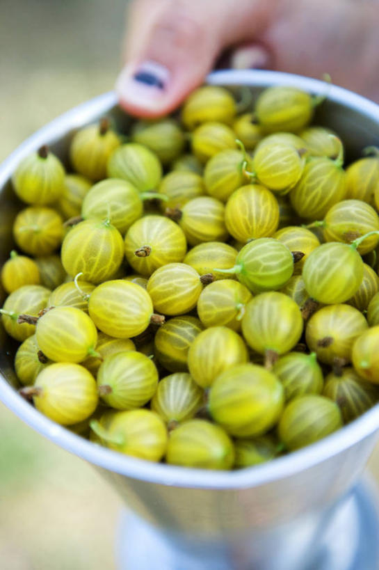 西方人,手,一个人,站,竖图,俯视,室内,特写,白天,水果,金属制品,欧洲,欧洲人,仅一个年轻女性,仅一个女性,仅一个人,一堆,许多,握,阴影,堆叠,堆积,服装,朦胧,模糊,新鲜,装饰,反射,金属,影子,生食,食品,果实,拿,指甲油,拿着,休闲装,食物,衣服,容器,碗,站着,休闲,手部,休闲服,握着,服饰,有机食品,绿色食品,储藏,堆,单手,华丽,修饰,点缀,储存,衬托,美观,雅致,雅观,金灯,挂金灯,红姑娘,锦灯笼,酸浆,泡泡草,年轻女性,女人,女性,白种人,站立,半身,彩图,高角度拍摄,贮存