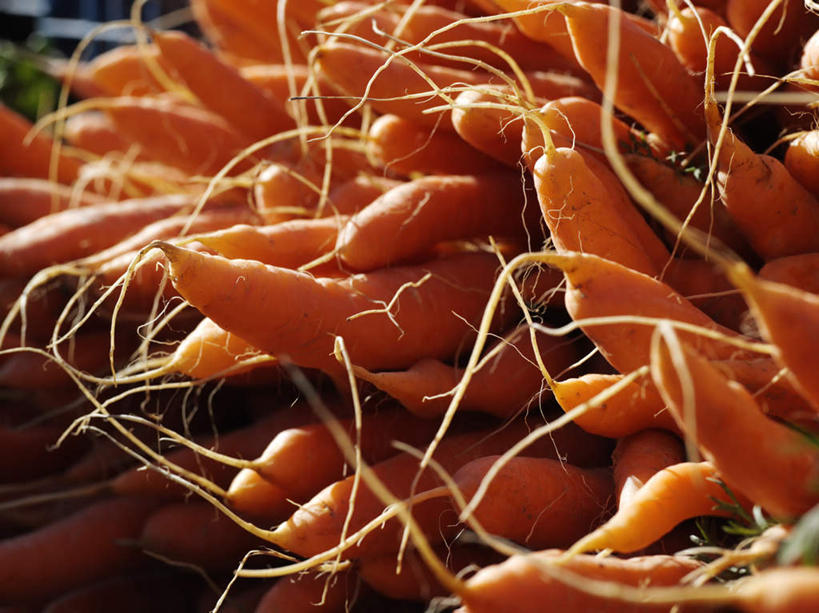 无人,横图,俯视,室外,白天,萝卜,胡萝卜,蔬菜,一堆,许多,阴影,堆叠,堆积,新鲜,光线,影子,食品,食物,红色,阳光,有机食品,绿色食品,堆,红萝卜,甘荀,彩图,高角度拍摄