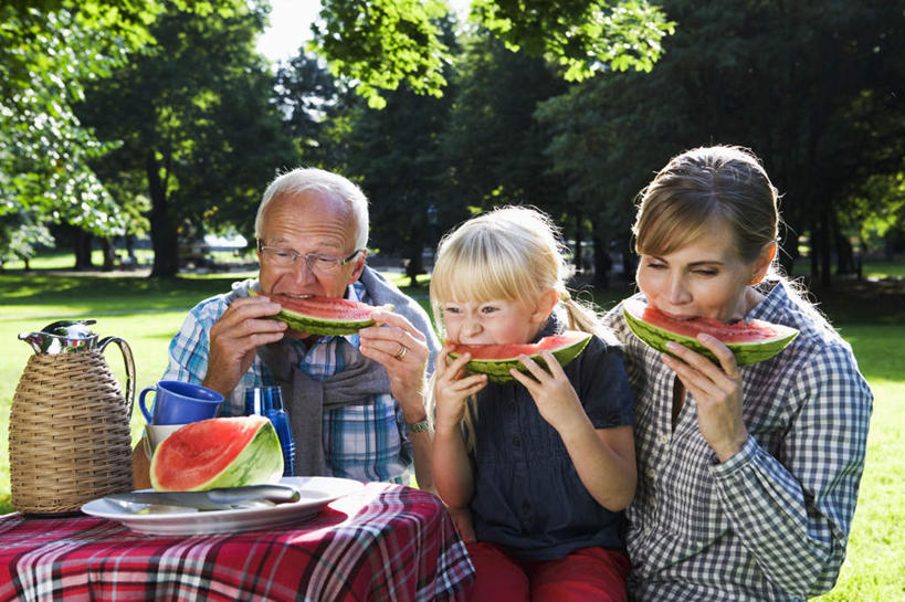 西方人,儿童,老年人,三个人,母亲,父亲,女儿,祖父,三代同堂,坐,吃,横图,室外,白天,正面,衬衫,纯洁,草地,草坪,植物,餐桌,桌子,西瓜,餐具,欧洲,欧洲人,阴影,光线,包,布料,碟子,格子,盘,眼镜,影子,棕色,布纹,拎包,祖孙三代,桌布,草,树,树木,小孩,粉色,绿色,阳光,自然,盘子,餐巾,碟,台布,温暖,温馨,父女,母女,父爱,可爱,母爱,童年,童趣,生长,爷爷,成长,餐台,祖孙,和睦,近视眼镜,童真,烂漫,无邪,外孙女,外公,外祖父,天真,老年男性,男人,男性,年轻女性,女孩,女人,女性,白种人,孩子,年轻人,全家福,孙女,寒瓜,嚼,食,坐着,半身,彩图,衬衣,融洽,短发,女生,爸爸,多代同堂,妈妈