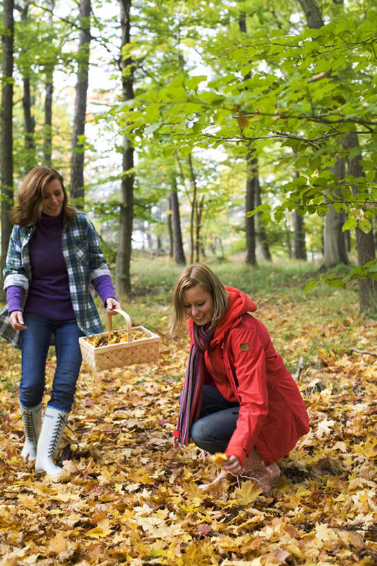 西方人,两个人,伙伴,朋友,站,蹲,笑,微笑,露齿笑,竖图,室外,白天,正面,友谊,草地,秋季,植物,叶子,欧洲,欧洲人,握,装饰,篮子,枯叶,落叶,拿,竹扁,拿着,注视,草,树,树木,绿色,自然,围巾,低头,观察,看,站着,温暖,握着,生长,竹编,成长,围脖,观看,保暖,华丽,点缀,察看,御寒,关注,衬托,美观,雅致,雅观,秋日,友情,年轻女性,女人,女性,白种人,叶,叶片,秋天,蹲着,站立,彩图,全身