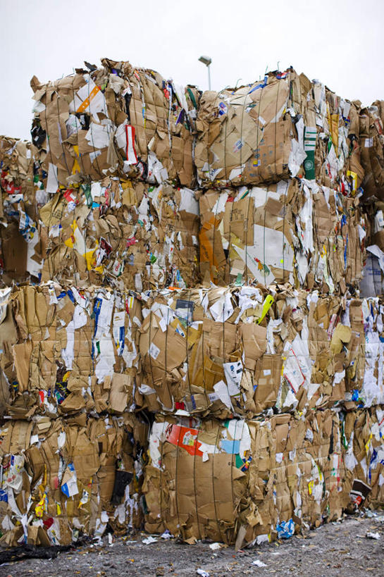 无人,竖图,室外,白天,正面,路灯,照明,灯光,垃圾,地面,灯,排列,照亮,照明设备,摆列,彩图,布列,分列