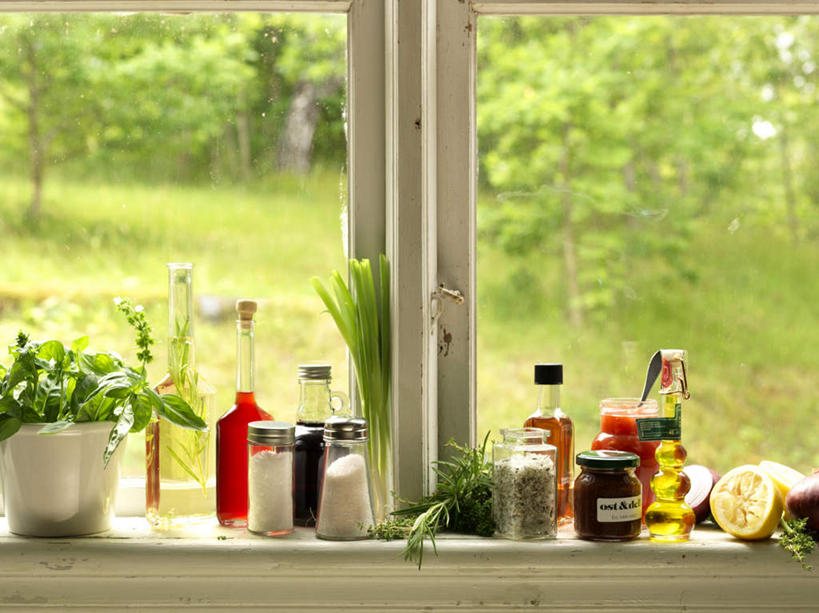 无人,横图,俯视,室外,白天,草地,植物,窗户,阴影,光线,罐子,盆栽,影子,盆景,玻璃窗,窗台,玻璃制品,草,树,树木,绿色,阳光,自然,玻璃瓶,瓶子,生长,成长,彩图,高角度拍摄