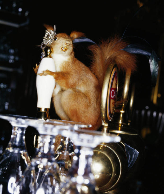 无人,酒吧,站,抱,竖图,室内,白天,正面,台灯,野生动物,照明,灯光,灯,一只,动物,灯具,松鼠,站着,可爱,活泼,抱着,照亮,搂着,照明设备,花栗鼠,搂,搂抱,站立,彩图,酒吧间,酒馆