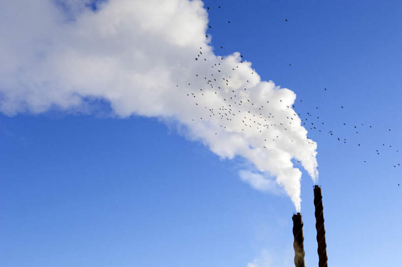 无人,工厂,横图,室外,白天,仰视,烟囱,鸽子,瑞典,欧洲,飞翔,飞行,翱翔,飞,蓝色,蓝天,天空,天,烟,晴朗,工场,污染,斯堪的纳维亚,北欧,斯堪的纳维亚半岛,万里无云,瑞典王国,晴空,晴空万里,彩图,低角度拍摄