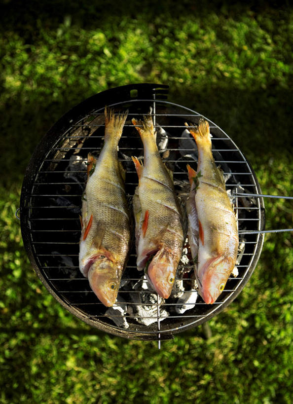 无人,竖图,俯视,室外,特写,白天,烧烤,草地,草坪,植物,许多,阴影,朦胧,模糊,光线,鱼,烤盘,影子,烤架,烤肉,鱼类,草,绿色,阳光,铁架,三条,鲈鱼,死亡,碳,殒命,花鲈,鲈板,鲈子鱼,灭亡,彩图,高角度拍摄