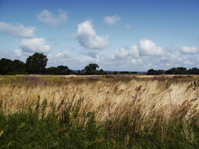 无人,横图,室外,白天,正面,旅游,度假,草地,草坪,花海,花圃,美景,树林,植物,叶子,瑞典,欧洲,许多,盛开,景观,云,云朵,花蕾,蒲苇,云彩,娱乐,草,花,花瓣,花朵,花卉,鲜花,树,树木,蓝色,绿色,白色,白云,蓝天,天空,自然,花丛,花束,花田,天,花苞,花蕊,享受,休闲,景色,放松,生长,晴朗,成长,斯堪的纳维亚,自然风光,北欧,斯堪的纳维亚半岛,瑞典王国,晴空,彩图