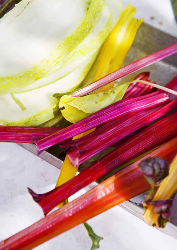 无人,竖图,俯视,室外,特写,白天,蔬菜,许多,阴影,新鲜,光线,影子,食品,食物,黄色,红色,阳光,有机食品,绿色食品,牛皮菜,厚皮菜,厚合菜,莙达菜,莙荙菜,根达菜,恭菜,观达菜,彩图,高角度拍摄