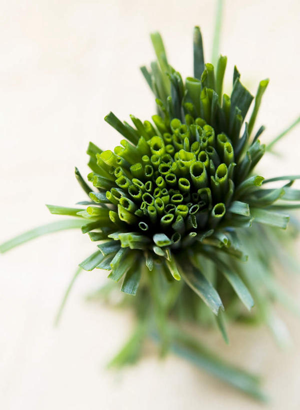 无人,竖图,俯视,室内,特写,白天,蔬菜,一堆,许多,堆叠,堆积,朦胧,模糊,新鲜,葱,青葱,食品,食物,绿色,有机食品,绿色食品,堆,彩图,高角度拍摄