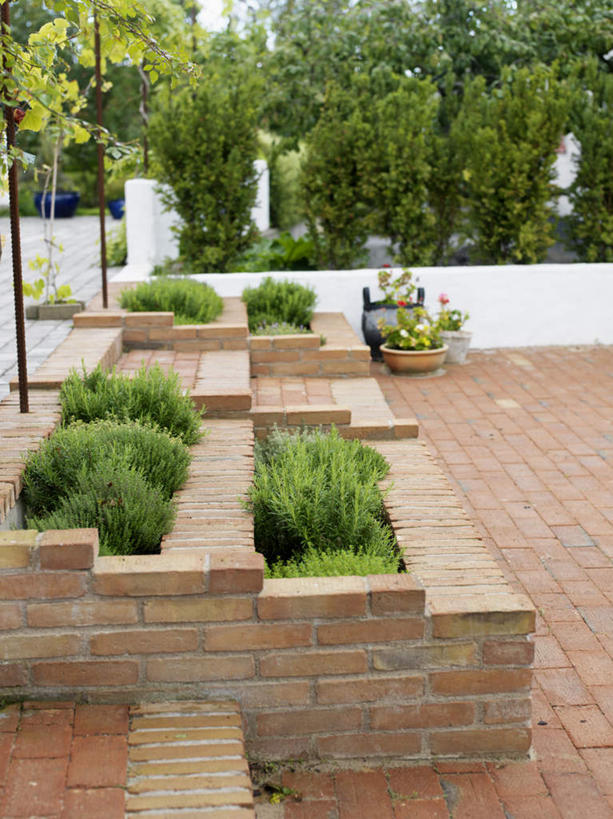 无人,竖图,室外,白天,正面,植物,楼梯,道路,路,叶子,一排,整齐,装饰,盆栽,阶梯,小路,绿叶,盆景,交通,台阶,排列,红色,绿色,自然,嫩叶,砖头,乡间小路,生长,成长,灌木,堆,华丽,修饰,堆砌,点缀,三盆,队列,衬托,美观,雅致,雅观,叶,叶片,彩图