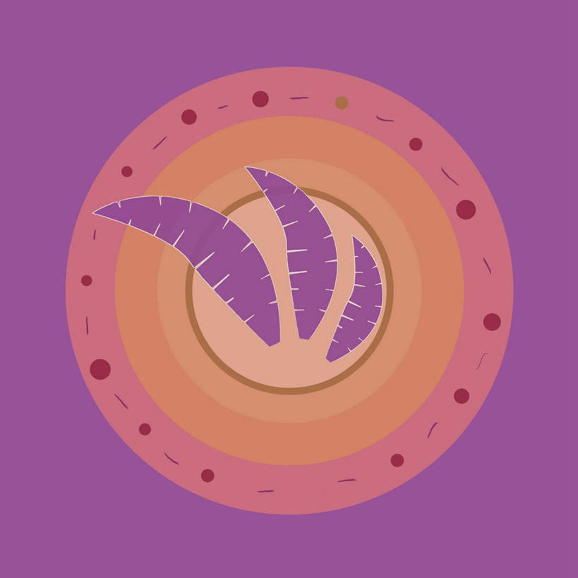 无人,方图,彩色,插画,室内,白天,正面,旅游,度假,数码,科技,美景,山,山脉,叶子,美国,阴影,条纹,网络,圆形,景观,山峰,山峦,三片,高光,几何,计算机图形,合成,图画,娱乐,画,自然,群山,享受,休闲,嫩叶,景色,南美,放松,五颜六色,色彩斑斓,电脑合成图,数码合成图,南美洲,北美,北美洲,合成图,拉丁美洲,自然风光,美洲,五彩缤纷,漫画,阿拉斯加,阿拉斯加州,写实,具体,具象,北亚美利加洲,亚美利加洲,南亚美利加洲,五彩斑斓,最后的边疆,午夜阳光之地,火地岛,安第斯山脉,科迪勒拉山系,五光十色,褶皱山系,叶,叶片,彩图