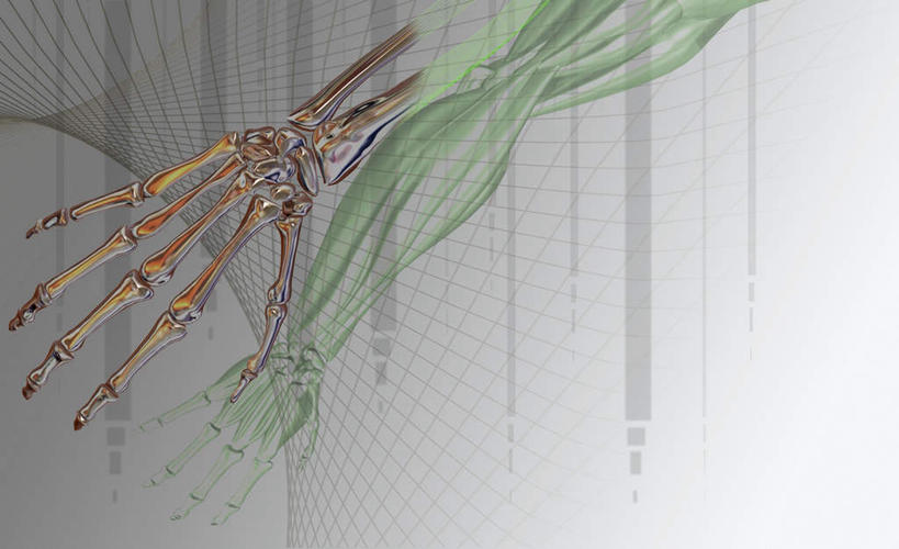 骨骼,无人,横图,插画,室内,白天,正面,数码,科技,阴影,网络,骨头,高光,几何,计算机图形,合成,图画,画,电脑合成图,数码合成图,骨架,合成图,手骨,漫画,写实,具体,具象,彩图