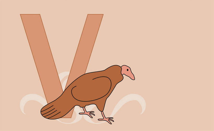 无人,站,横图,插画,室内,白天,正面,数码,科技,鸟,野生动物,阴影,红色背景,网络,英文,鸟类,秃鹫,标志,文字,字符,字母,高光,几何,计算机图形,合成,图画,注视,标识,画,一个,一只,动物,观察,看,站着,单个,观看,英文字母,电脑合成图,数码合成图,察看,合成图,关注,凶猛,漫画,写实,具体,具象,残暴,凶残,座山雕,秃鹰,狗头鹫,站立,彩图,全身