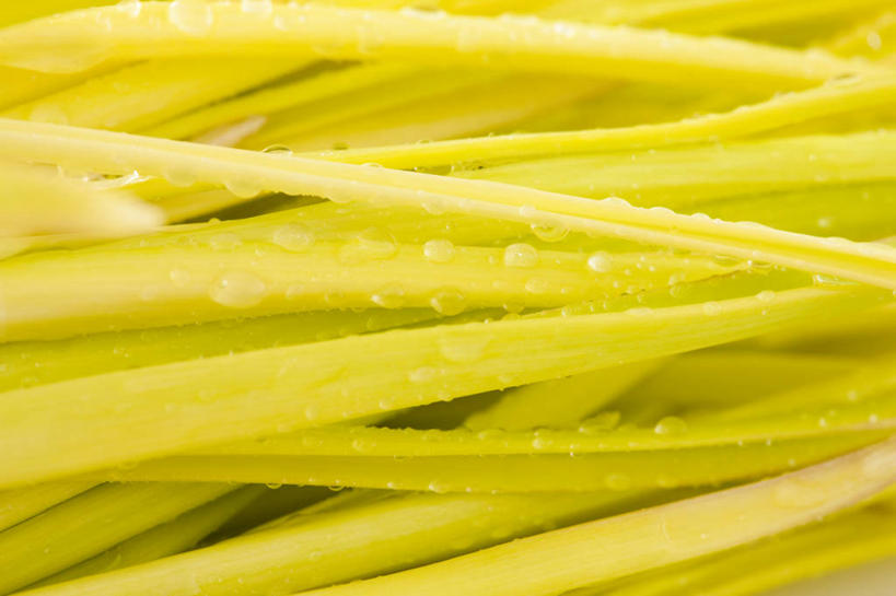 无人,横图,特写,农业,蔬菜,蒜,静物,叶子,湿,准备,堆叠,水滴,食品,饮品,干净,捆,饮食,食物,饮料,黄色,绿色,摄影,有机食品,蒜苗,简单,可口,清新,健康食物,纯净,蒜薹,蒜毫,蒜苔,适口,彩图,全画面,全框架,全帧,影棚拍摄,全画幅