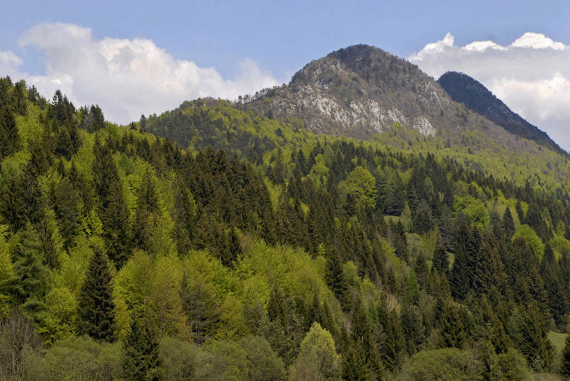 无人,横图,室外,白天,旅游,度假,美景,森林,山,意大利,欧洲,地形,景观,南,图像,娱乐,树,风景,自然,享受,休闲,景色,放松,摄影,宁静,自然风光,万里无云,多洛米蒂山脉,彩图,旅行