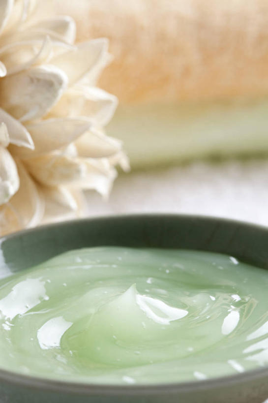 无人,竖图,特写,按摩,化妆,美容,芦荟,静物,叶子,北京,中国,亚洲,护肤,准备,润肤露,花,自然,碗,保养,享受,休闲,面膜,放松,SPA水疗,保健,温泉浴场,摄影,简单,化妆用品,清新,中国文化,华贵,东亚,纯净,养颜,替代疗法,芦荟汁,矿泉疗养地,彩图,影棚拍摄,水疗,SPA美容,成分