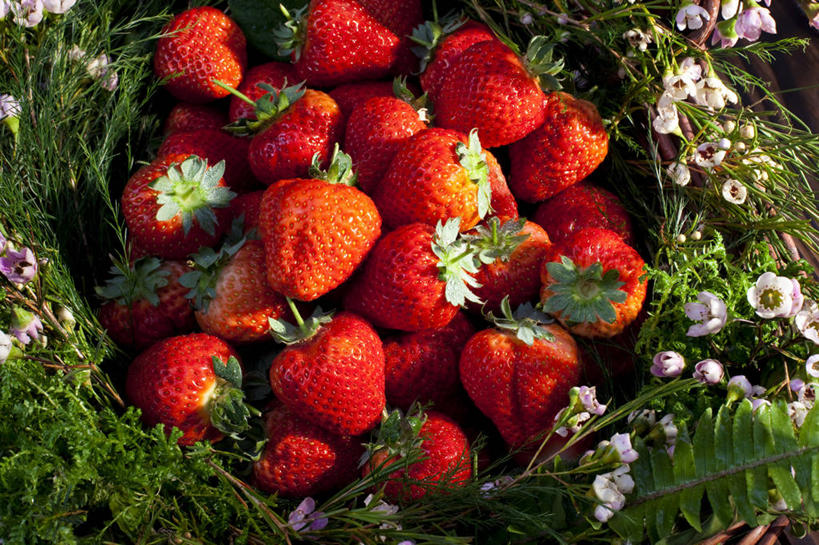 无人,横图,俯视,室内,背景,水,桌子,草莓,静物,水果,中国,丰富,篮子,木材,木纹,食品,饮品,筐,花,食物,饮料,绿色,容器,概念,摄影,多样,简单,可口,东亚,健康食物,适口,彩图,高角度拍摄