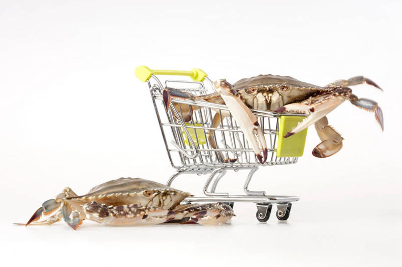 无人,横图,留白,白色背景,购物,购物车,螃蟹,食品,动物,模型,趴着,模仿,摄影,影棚,灵感,幽默,创造力,摄影棚,健康食物,想法,海产,彩图,影棚拍摄,拍摄